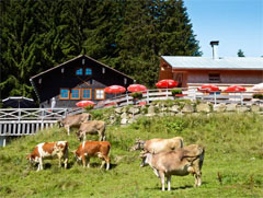 <div class='capt'>Grüß Gott auf der Alpe Ornach. Hier oben gibt’s den ganzen Sommer über Milchprodukte und Käse – aus eigener Herstellung.</div>